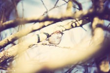 IMG_0337 IMG_0337